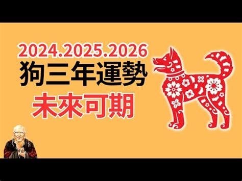 1982屬狗十年運勢|1982屬狗41歲後有十年大運 解析十年運勢情況